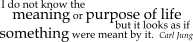 I don�t know what the meaning or purpose of life is. But it looks exactly as if something were meant by it. - Carl Jung